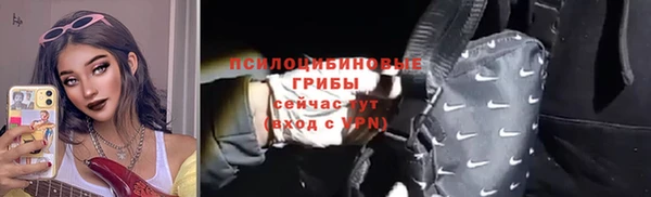молекула духа Наволоки