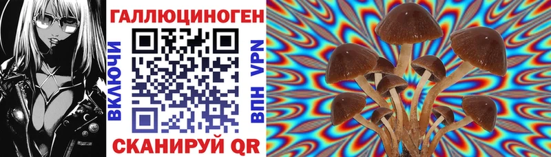 Галлюциногенные грибы GOLDEN TEACHER  где купить наркотик  Чебаркуль 